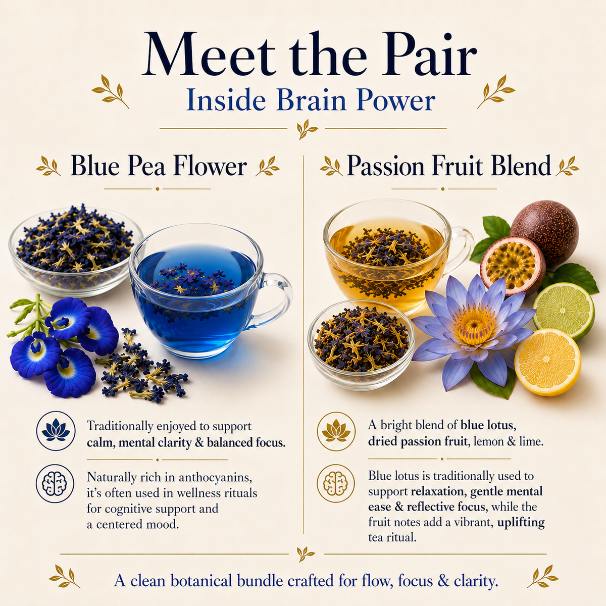 Brain Power