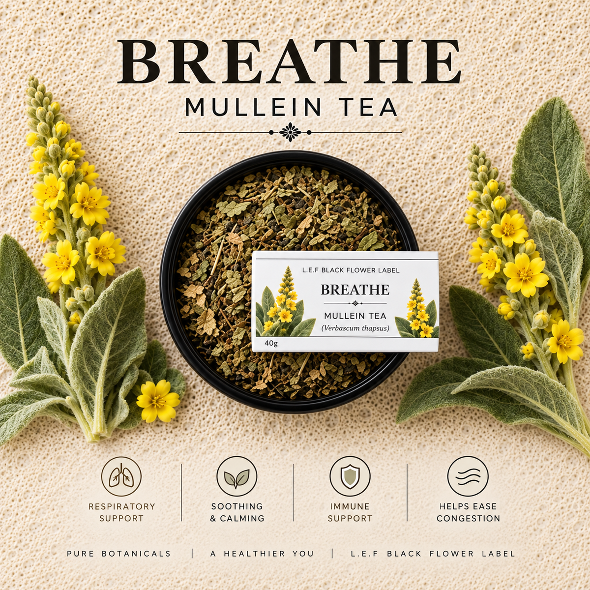 Mullein + Spearmint Tea