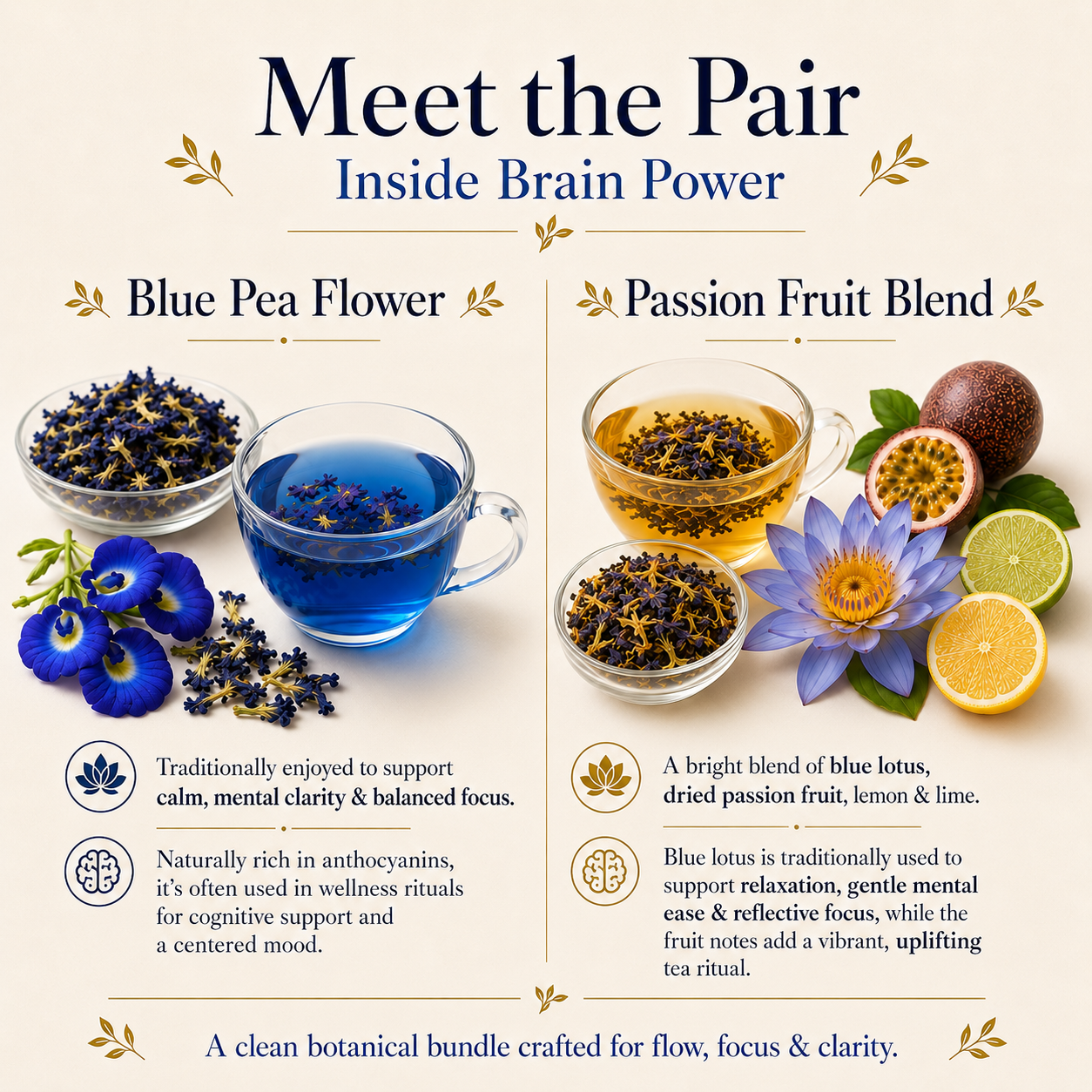 Brain Power