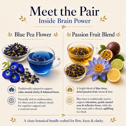 Brain Power