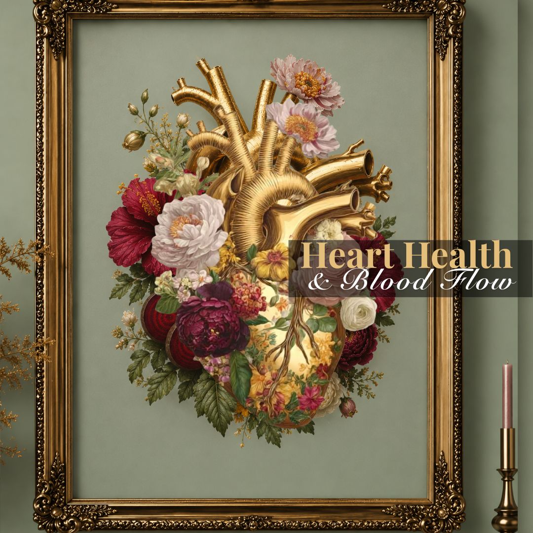 Blood Flow &amp; Heart Health