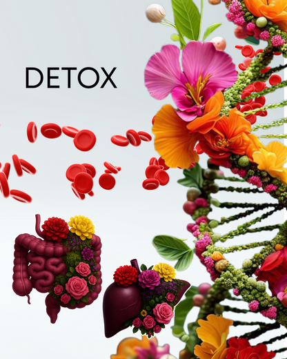 Prescription No. 01: Full Detox- Liver &amp; Gut