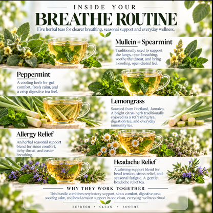 Breathe Herbal Comfort