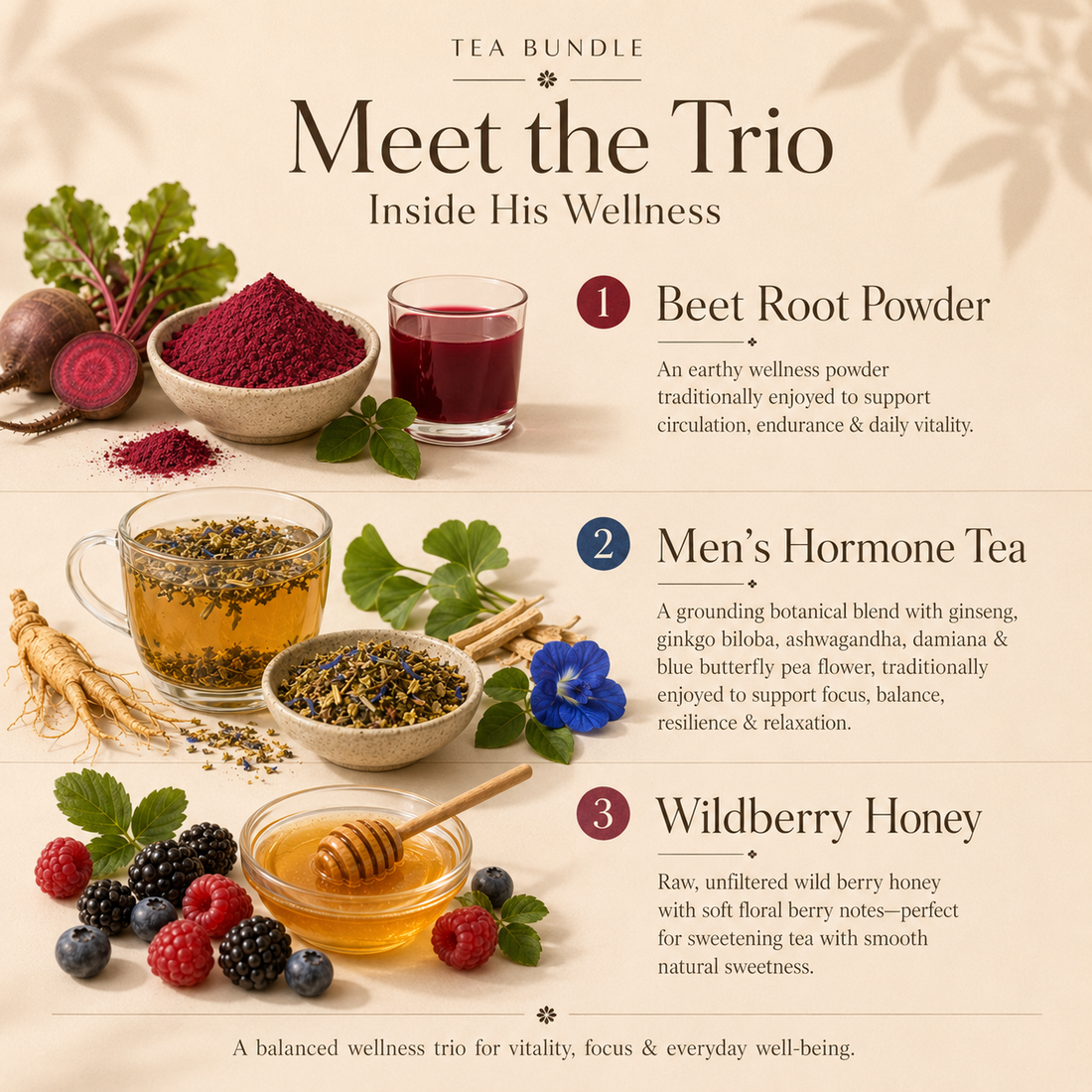 His Wellness