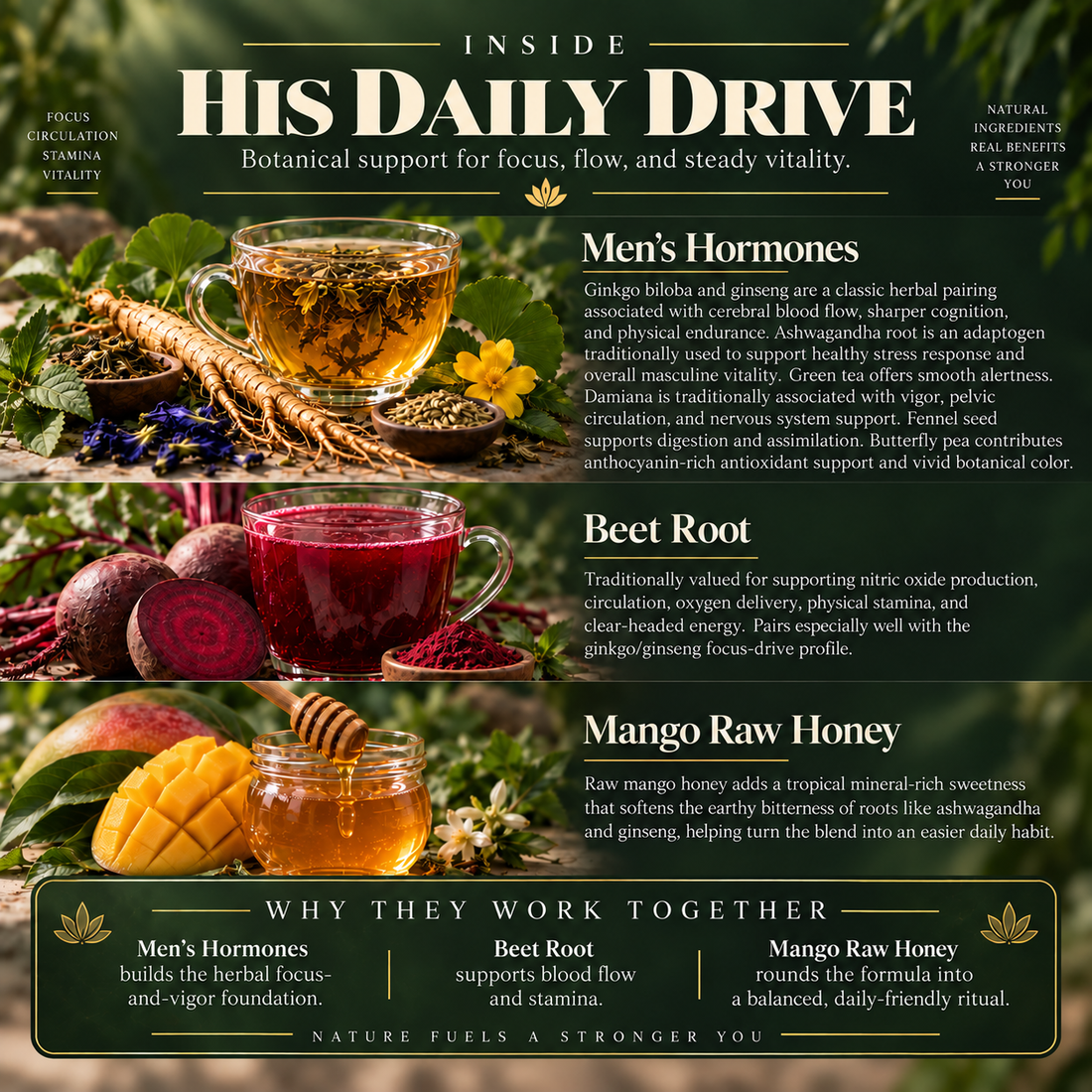 Men’s Energy, Focus &amp; Vitality